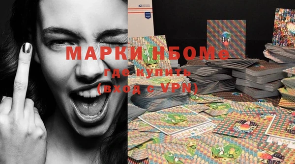 прущие грибы Баксан