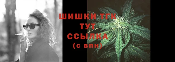 прущие грибы Баксан