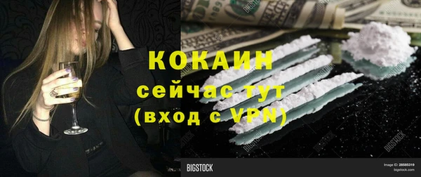 прущие грибы Баксан